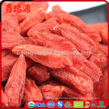 Lycium barbarum goji coltivazione beneficia a las bayas de goji semi di bacche di goji